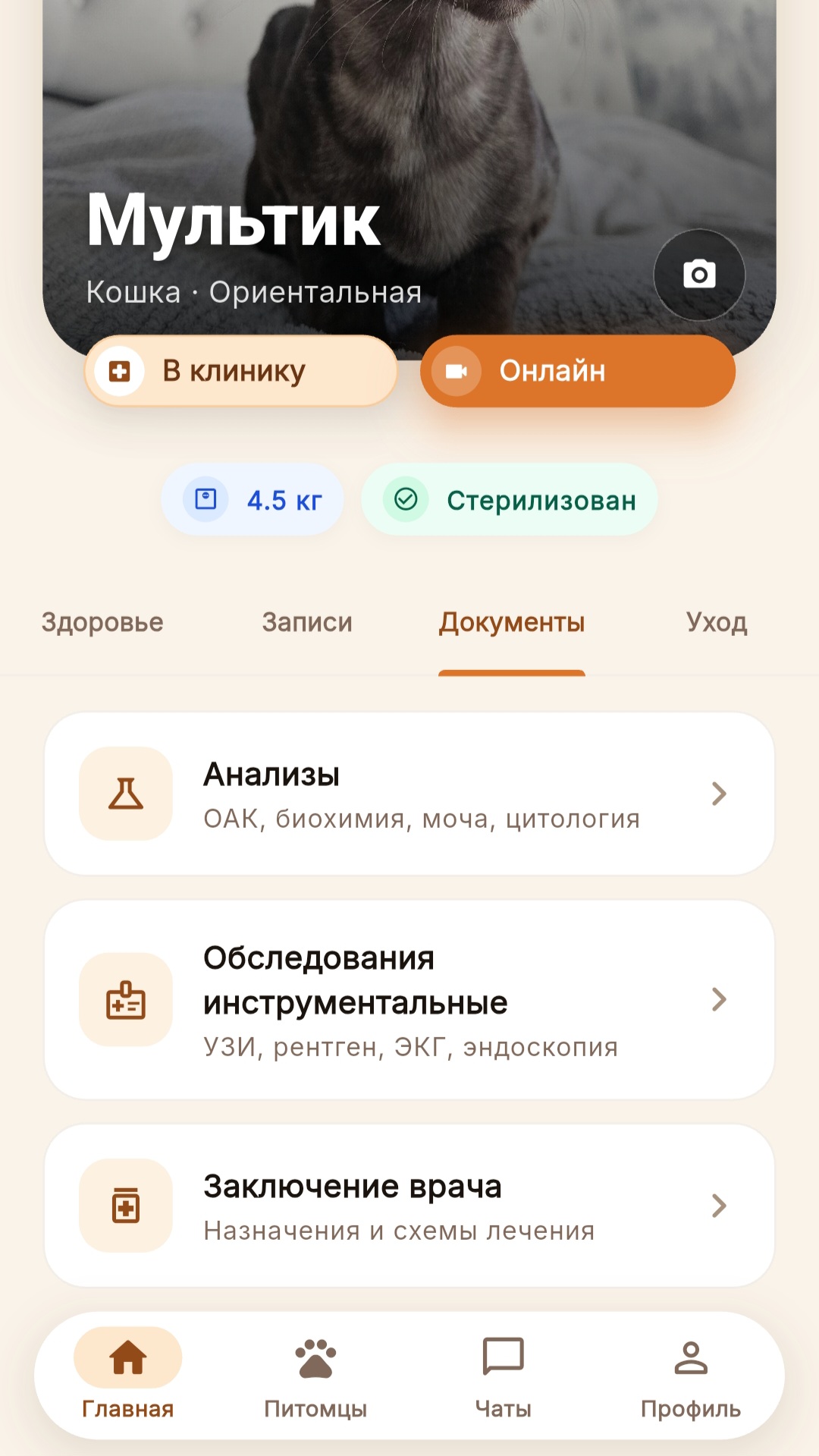 Медицинские документы питомца в приложении Вет-Альтера