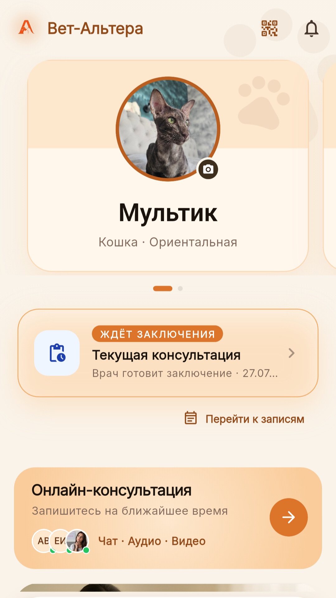 Главная страница приложения Вет-Альтера